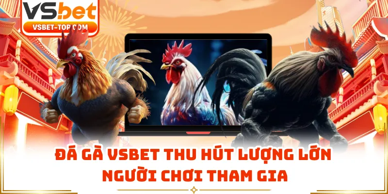 Đá Gà VSBET Thu Hút Lượng Lớn Người Chơi Tham Gia